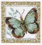 кларт н-р д/вышивания бабочка салатная 5-056 - фото 6829
